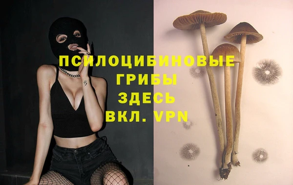 кокаин премиум Алзамай