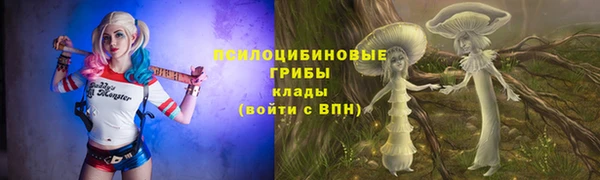 таблы Алексин