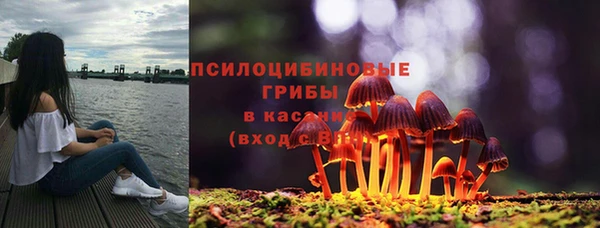 таблы Алексин